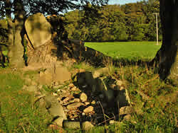 Großsteingrab in der Nähe vom Nordic Walking Camp Birkengrund auf Rügen